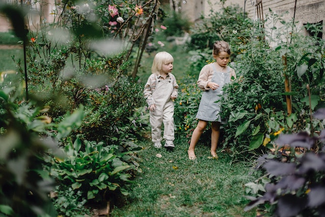 Schattenbereiche im Garten optimal nutzen