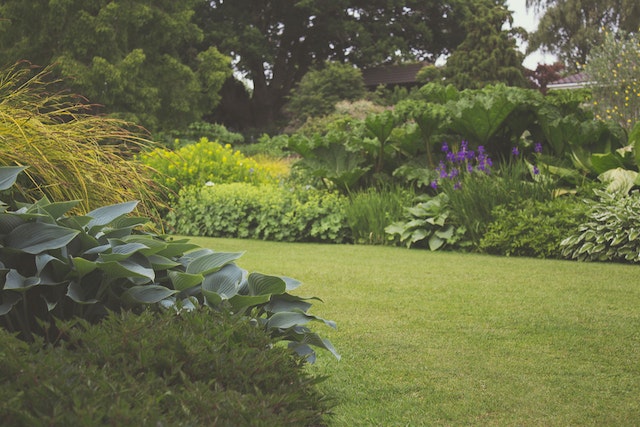 Tipps für einen blühenden Garten das ganze Jahr über